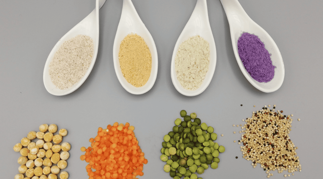 Viraliza Los Ríos Innovando con Recursos Genéticos. Simposio 1 Ingredientes de última generación