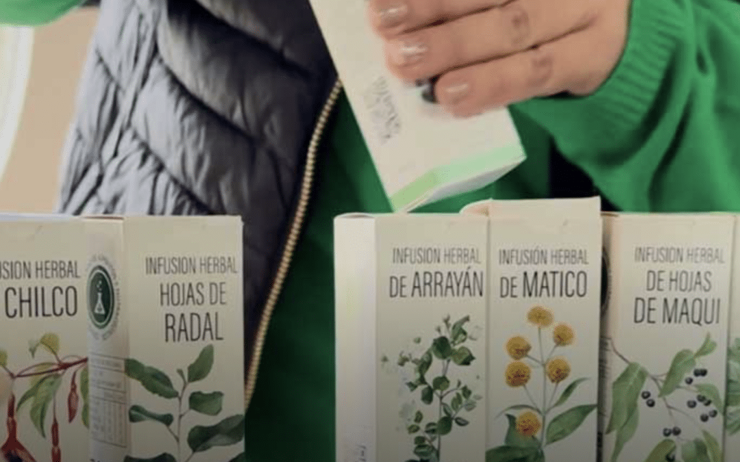 INIA, UACh y empresas dieron a conocer innovadores productos alimentarios
